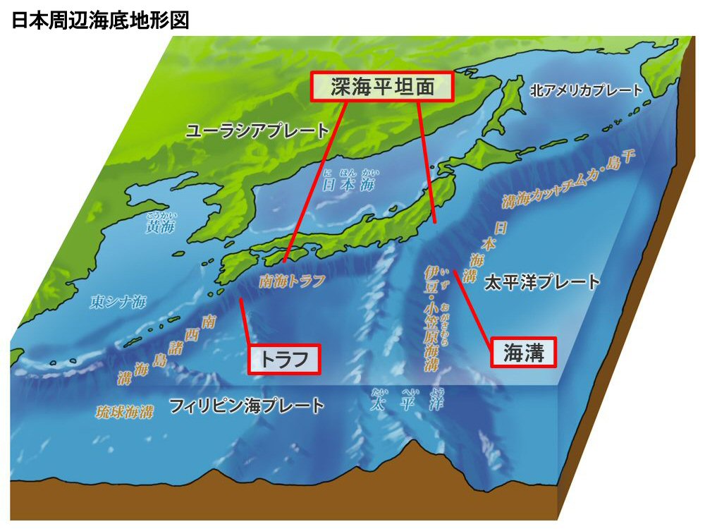 トラフ